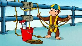 Il nuovo lavoro di George  Curioso Come George  Cartoni per Bambini