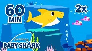 FASTER Baby Shark-1 hour | Baby Shark Medley | Baby Shark 1hour | +Compilation | Baby Shark Official