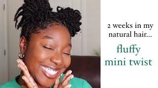 2 Weeks In My Natural Hair | Fluffy Mini Twists