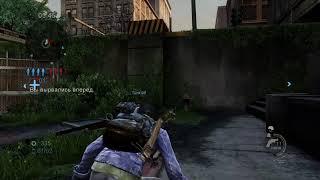 The last of us