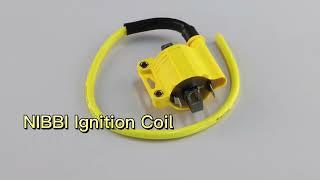 NIBBI Racing Ignition Coil