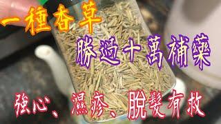 《一種香草能醫百病》強心臟🫀坐骨神經痛️‍️記憶力痛風️口臭胃氣脹脫髮禿頭‍濕疹救星