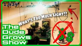 Your Grow Light is Costing You?? - The Dude Grows Show 1,434