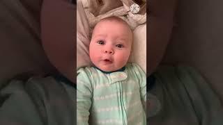 monkey funny#funnyvideos#comedy# baby#cutekids#trending#subscribe