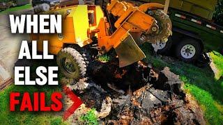 Removing Nasty Tree Stumps!