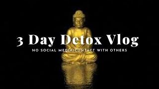 3 Day Detox Vlog: cooking + reading + spending time w/ nature + meditation + transparency talks