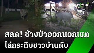 ช้างป่าเขาใหญ่ ไล่กระทืบคนตาย | 7 ก.ย. 67 | ไทยรัฐทันข่าว