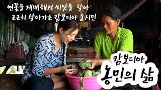 진정한 캄보디아 현지 소시민의 삶, 연꽃을 재배하며 각자의 사정을 가슴에 품고 하루하루 이어가는 인생사