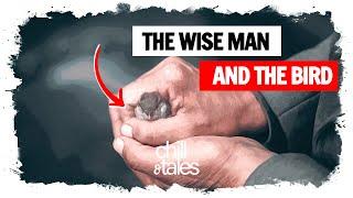 The wise man and the bird | 2 Minutes Inspirational Short Story | Chill & Tales