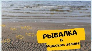 Ловля окуня, и вимбы микроджигом в Рижском заливе.... - # 025