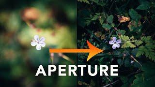 How to Choose the Best Aperture