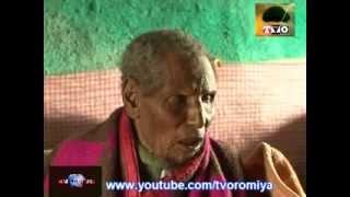 Manguddoo umrii dheeraa | At an estimated 160 years of age, Dhaqabo Ebba lagatafo studio Video by TV