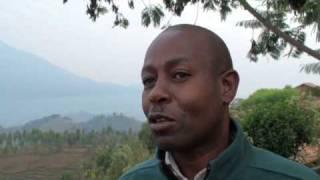 David Magezi of Virunga Lodge on gorilla tourism