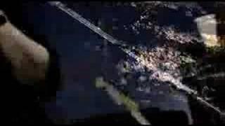 Marten Ingle Video Party- Blackjuice Jungle
