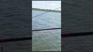 Волга.Никольский Яр. 17.07.2023. Рыбий микс.