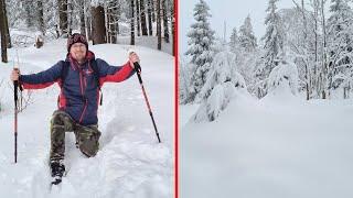 Winterwanderung rund um den Fellberg im Thüringer Wald - Herrlich verschneite Landschaft