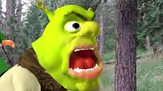 Cursed Shrek Scene