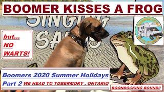 Boomer Kisses A Frog, But...No Warts -Boondocking Bound In Tobermory Ont. -RVing With A Great Dane