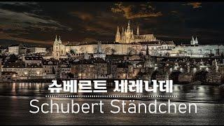 슈베르트 - 세레나데  | Schubert [Serenade D.957, No.4] 첼로 원지혜