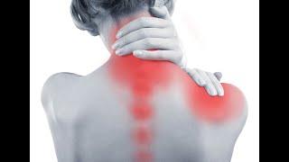 Professional Neck Therapy In Los Angeles | Life Rx Los Angeles