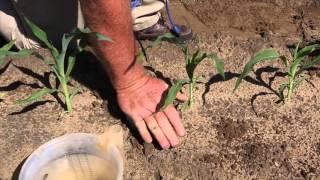 Advanced Irrigation Scheduling for Agriculture