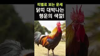 띠별운세! 닭띠는 이렇 옷을 자주 입어야 대박이 납니다! 닭띠를 대박나게하는 행운의 색깔! #행운,