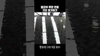 자동차 뒷 유리에 잔뜩 낀 기포 어떻게 제거할까