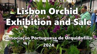 Lisbon Orchid Show and Sale // APO 2024