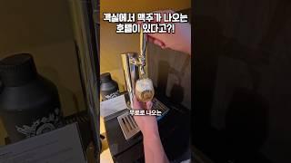 객실에서 생맥주가 무료로 나오는 호텔이 있다고?!