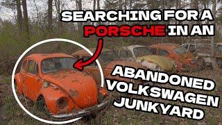 Searching for a Vintage Porsche in an Abandoned Volkswagen Junkyard ~ VW Beetle, Van & Karmann Ghia