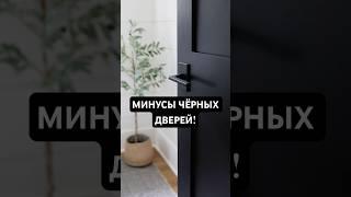 3 главных МИНУСА чёрных дверей!