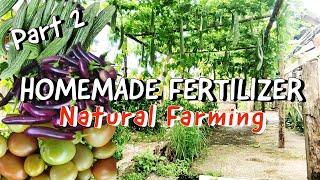 How to Make OHN, FAA and CalPhos | Natural Liquid Fertilizer Part 2