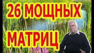 26 Мощных матриц. Бодрость, радость, от депрессии, для щитовидной железы и другие.