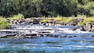 RIO DE ENSUEÑO # 12 /Ambiente y Naturaleza Relax