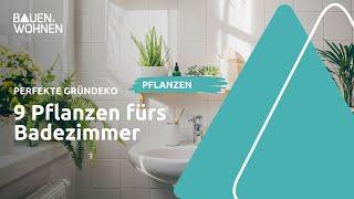 9 perfekte Pflanzen fürs Badezimmer I BAUEN & WOHNEN