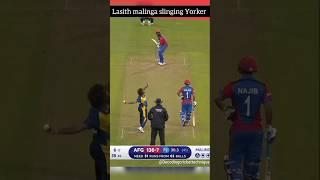 The Science Behind Malinga's Perfect Yorkers #slinginganalysis