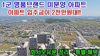 전국최저가 미분양 아파트 1군 건설사 입주금 2천만원대의 동해 대림 이편한세상 2억원대 아파트