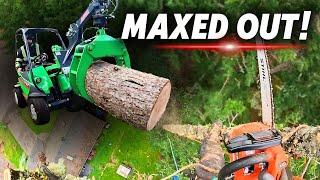 MAXING OUT The Equipment on a 120ft Tree Removal! Pushing The Limits!