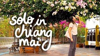 chiang mai vlog  Doi Suthep, Cafe Hopping, One Nimman Night Market  + life updates!