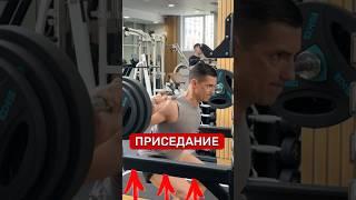 КАК ПРИСЕДАТЬ⁉️#фитнес #спорт #москва #россия #успех #мотивация #риэлтор #блогер #блог #тикток