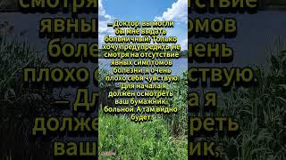 Сначала посмотрим бумажник... 