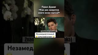 Павел Дуров разнес журналистку #павелдуров #дуров #озвучка #знаменитости