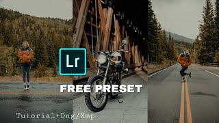 Lightroom mobile presets free dng