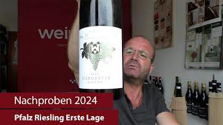 Nachproben 2024 | Pfalz Riesling Erste Lage