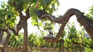 ®Beyond The Wine, Wine Tours Golfe de Saint-Tropez