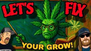 The Ultimate Cannabis Grow Q&A: What You Need to Know