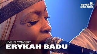 Erykah Badu - Full Concert at the 2001 North Sea Jazz Festival