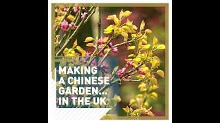 Making a Chinese garden...in the UK