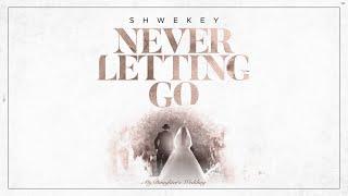 יעקב שוואקי Yaakov Shwekey - Never Letting Go