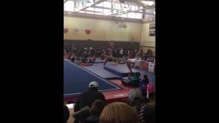 Isabella Level 3 Beam State Champion 2015